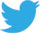 twitter-bird-light-bgs